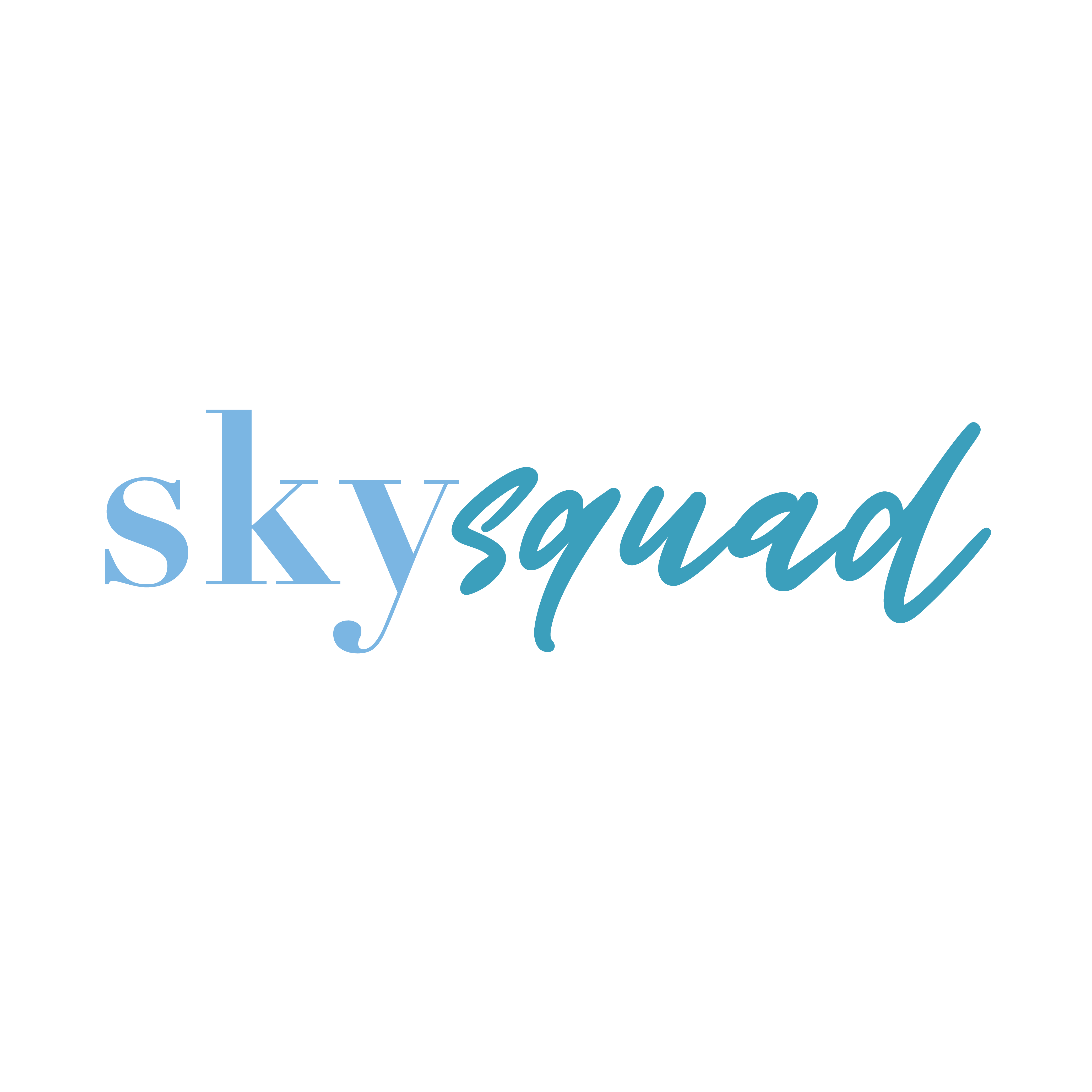 SkySquad